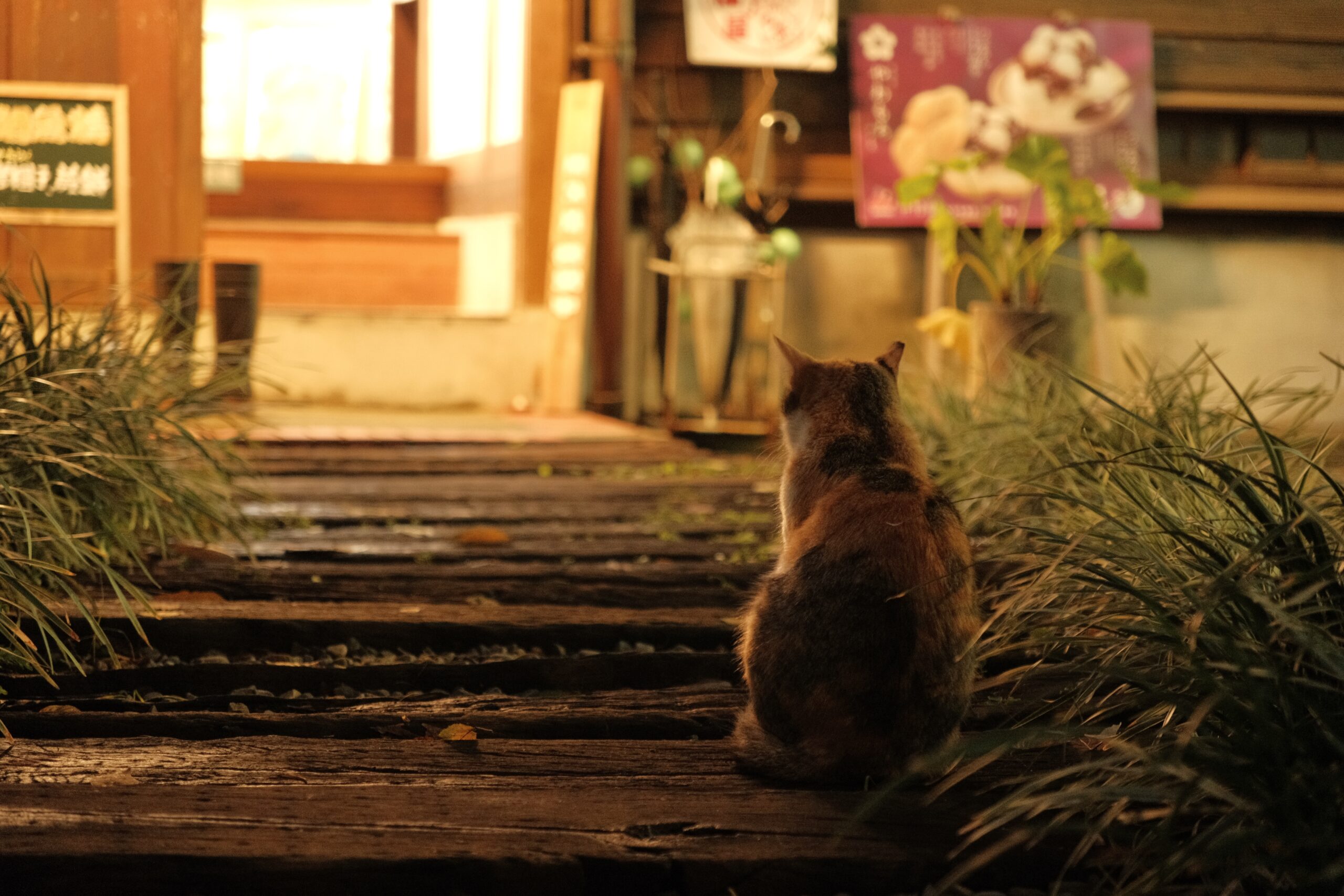 【台湾進出ガイド 】台湾進出の一歩目は「事前の情報整理」から